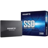 GIGABYTE SATA 256GB SSD # GP-GSTFS31256GTND